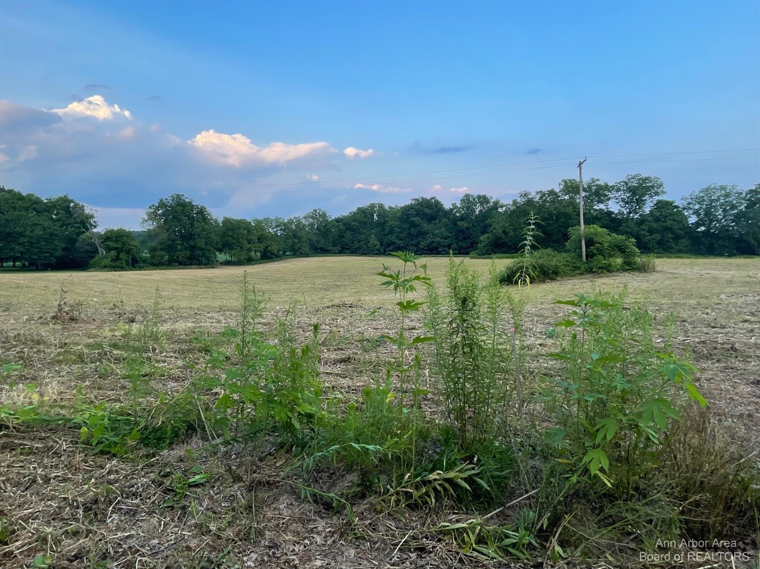 2216 North Dancer Road Dexter, MI 48130 - Photo 16 of 17 Photo 16