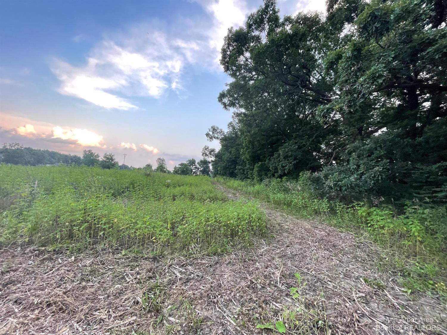 2216 North Dancer Road Dexter, MI 48130 - Photo 6 of 17 Photo 6