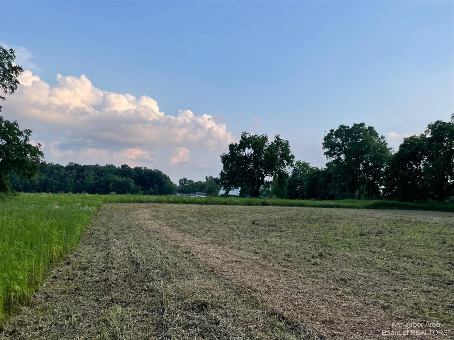 2216 North Dancer Road Dexter, MI 48130 - Photo 7 of 17 Photo 7