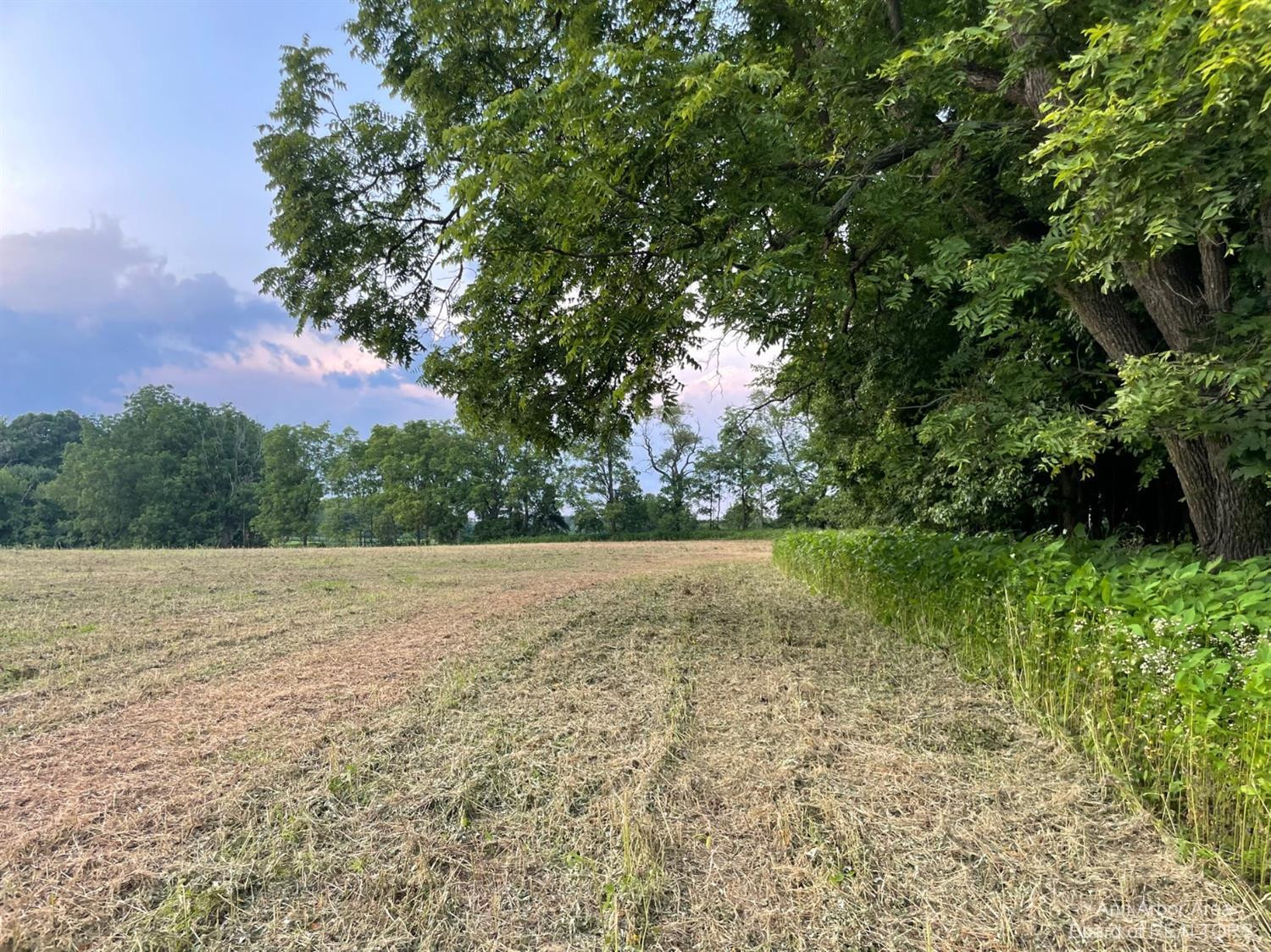 2216 North Dancer Road Dexter, MI 48130 - Photo 8 of 17 Photo 8