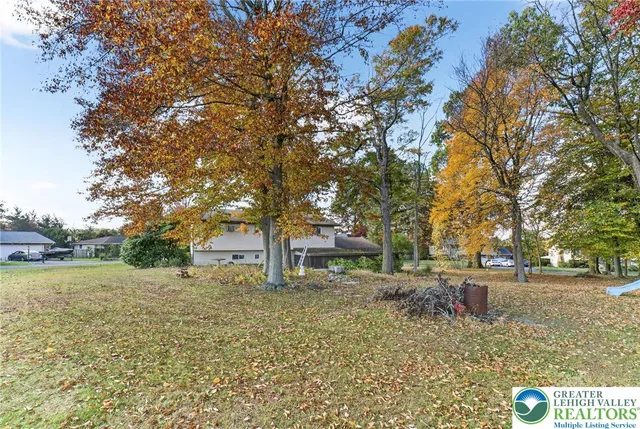 a house in middle of forest