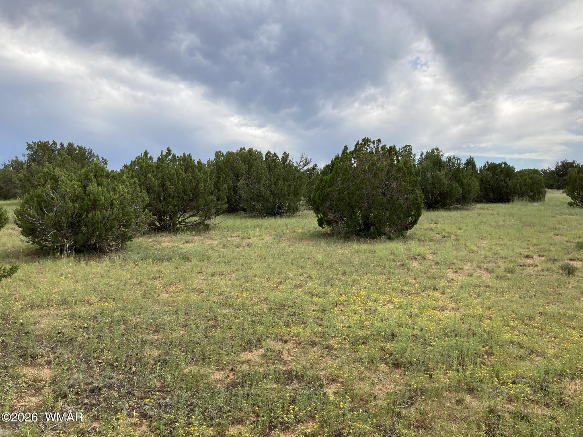 4979 Tharp Road Snowflake, AZ 85937 - Photo 6 of 19