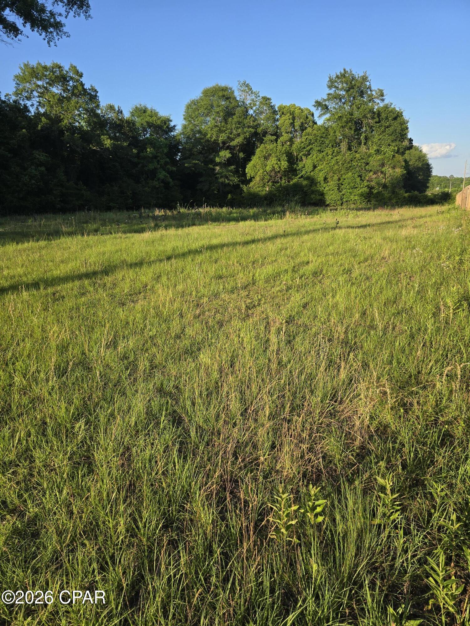 104 North Treadwell Road Bonifay, FL 32425 - Photo 4 of 9
