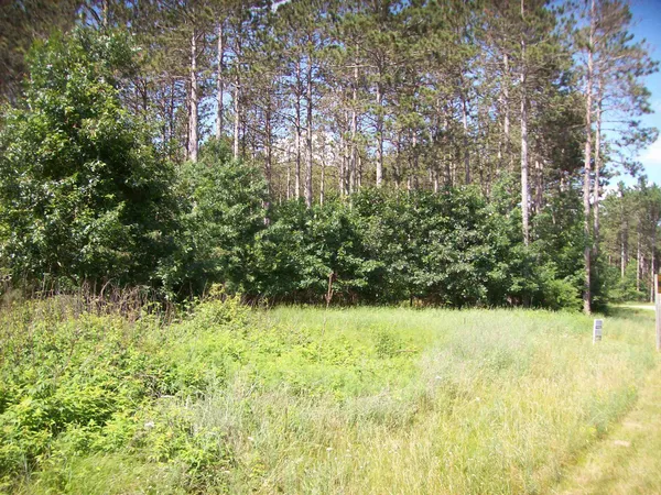 $139,900 | Corner Of 7-th Porter, Nekoosa, WI 54457