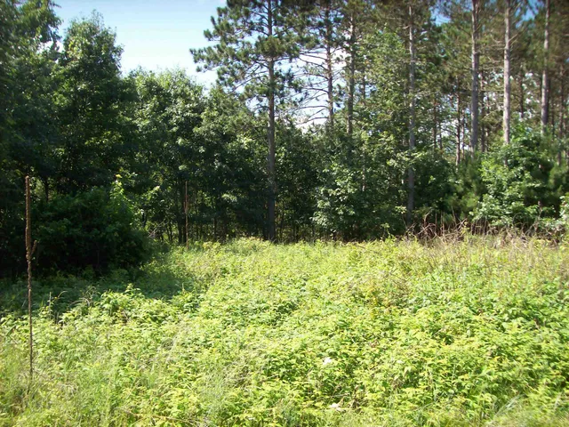 $139,900 | Corner Of 7-th Porter, Nekoosa, WI 54457