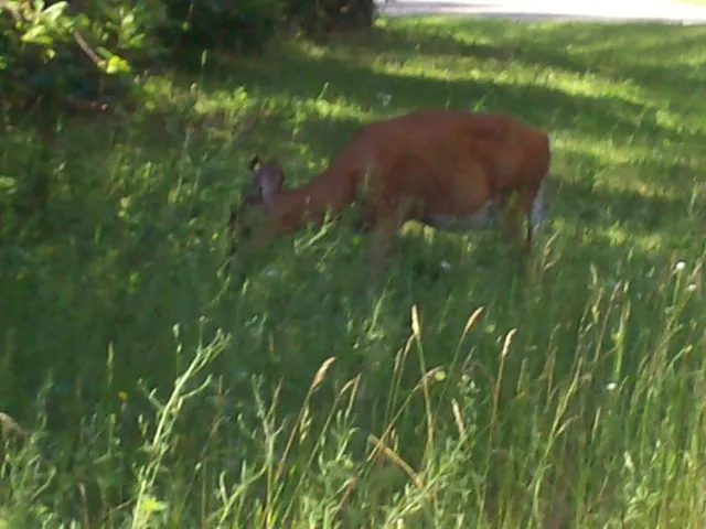 $139,900 | Corner Of 7-th Porter, Nekoosa, WI 54457