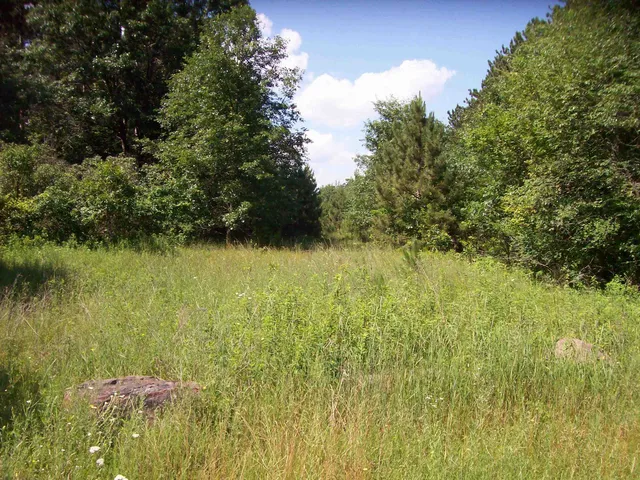 $139,900 | Corner Of 7-th Porter, Nekoosa, WI 54457