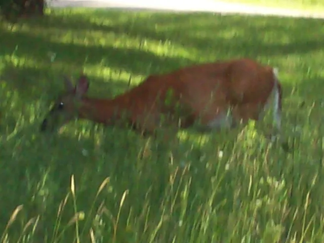 $139,900 | Corner Of 7-th Porter, Nekoosa, WI 54457