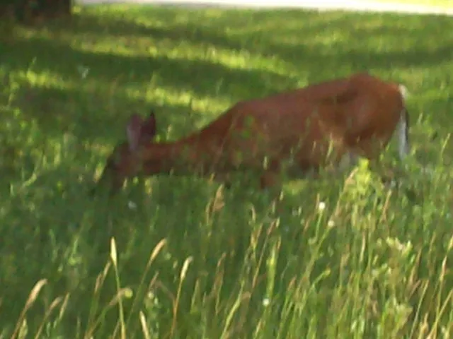 $139,900 | Corner Of 7-th Porter, Nekoosa, WI 54457