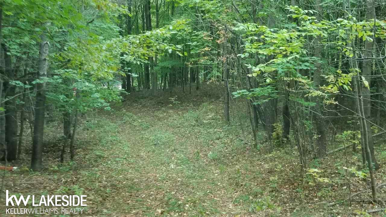 Nhn North 27th Road Mesick, MI 49668 - Photo 6 of 11