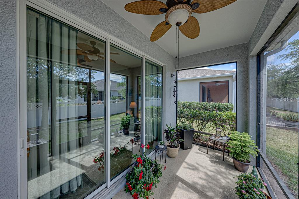 7739 Timberview Loop Wesley Chapel, FL 33545 - Photo 39 of 53 Gallery Image 39