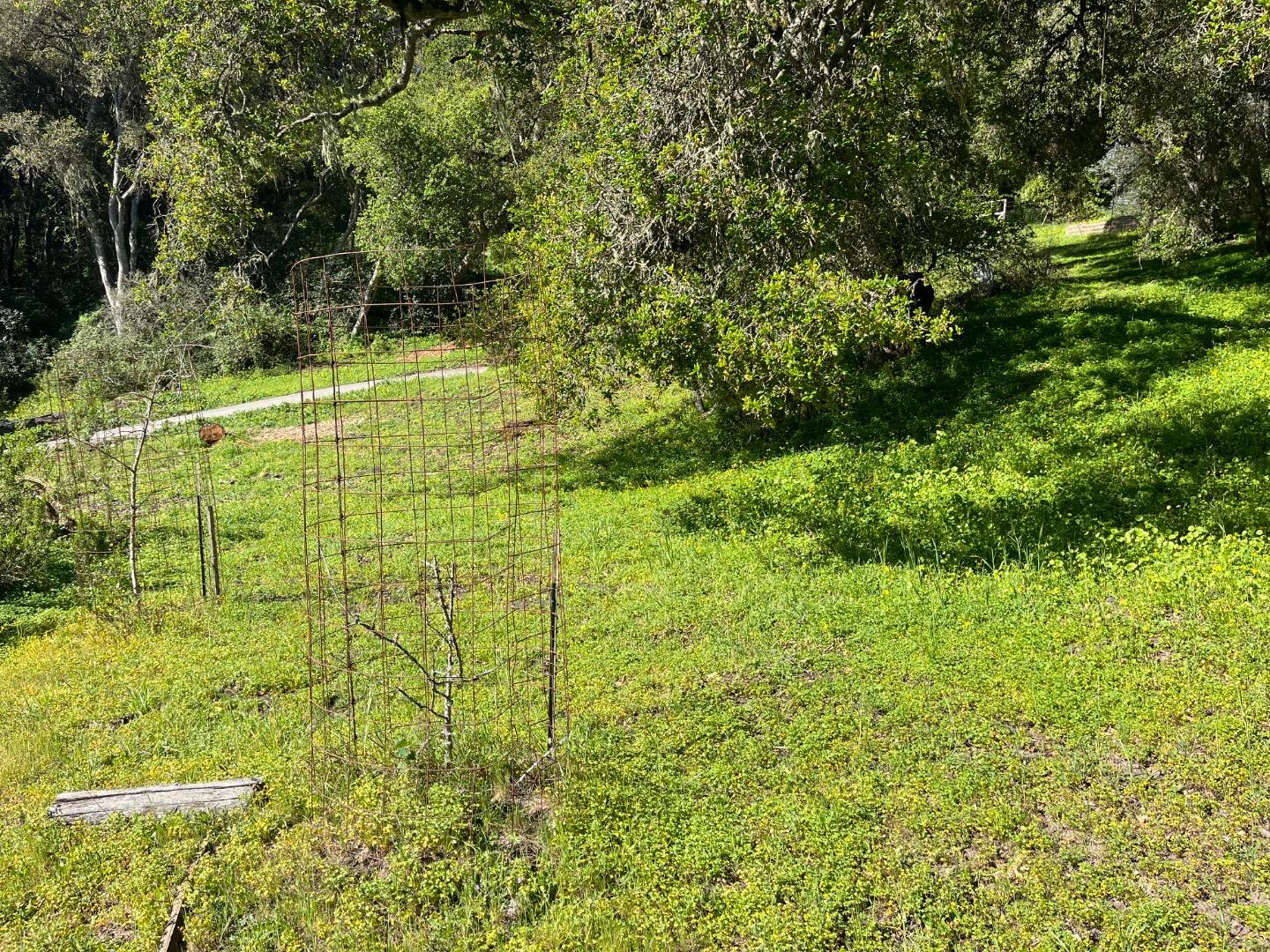 0 Baker Road Aptos, CA 95003 - Photo 22 of 29 a view of yard with green space