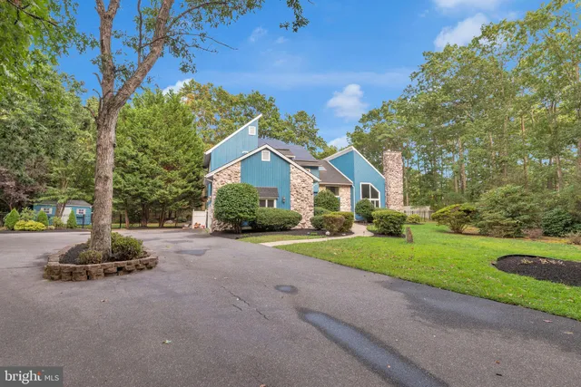 a view of road with large trees