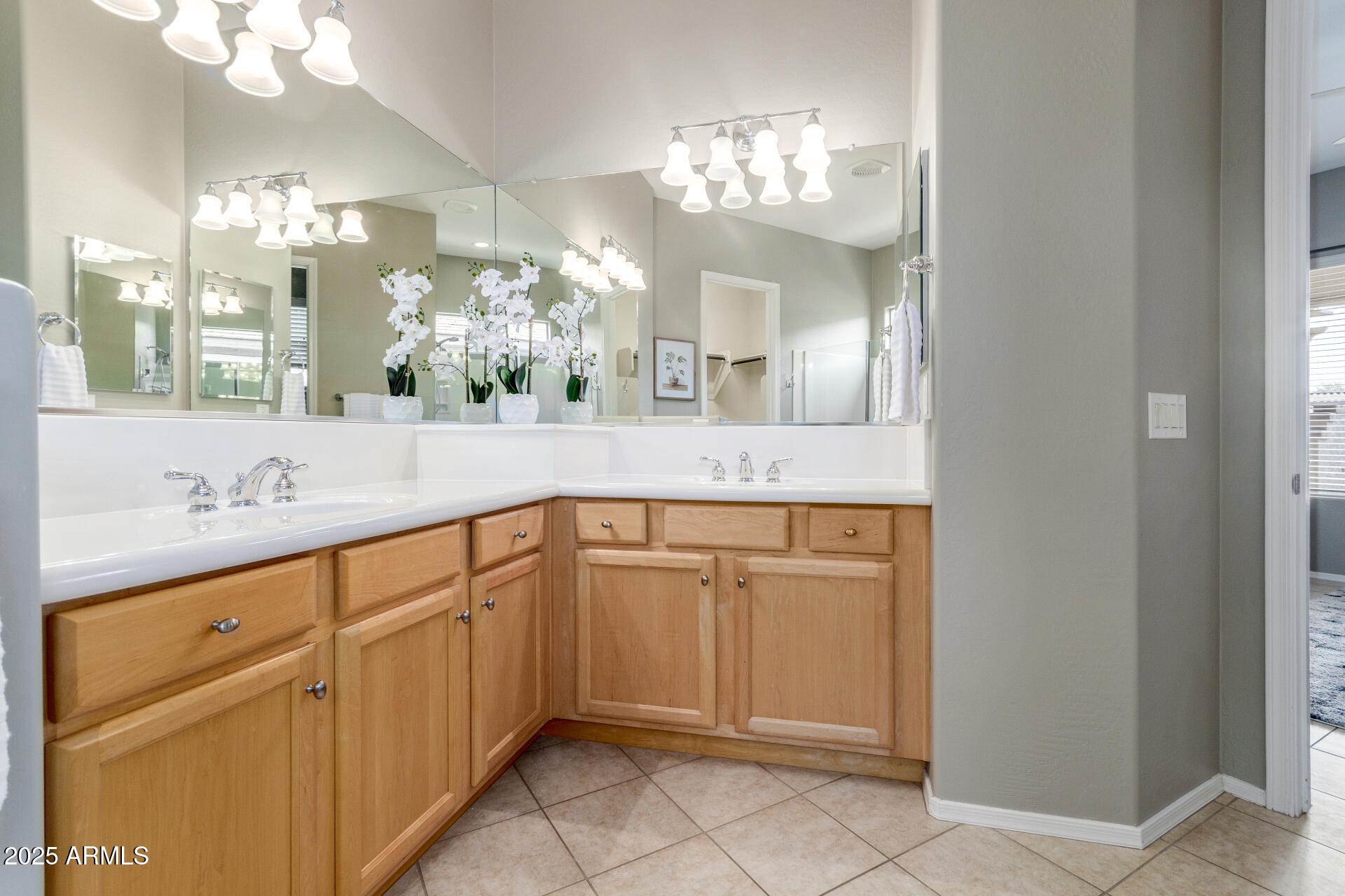 4553 East Narrowleaf Drive Gilbert, AZ 85298 - Photo 17 of 60 a bathroom with a sink vanity and a mirror