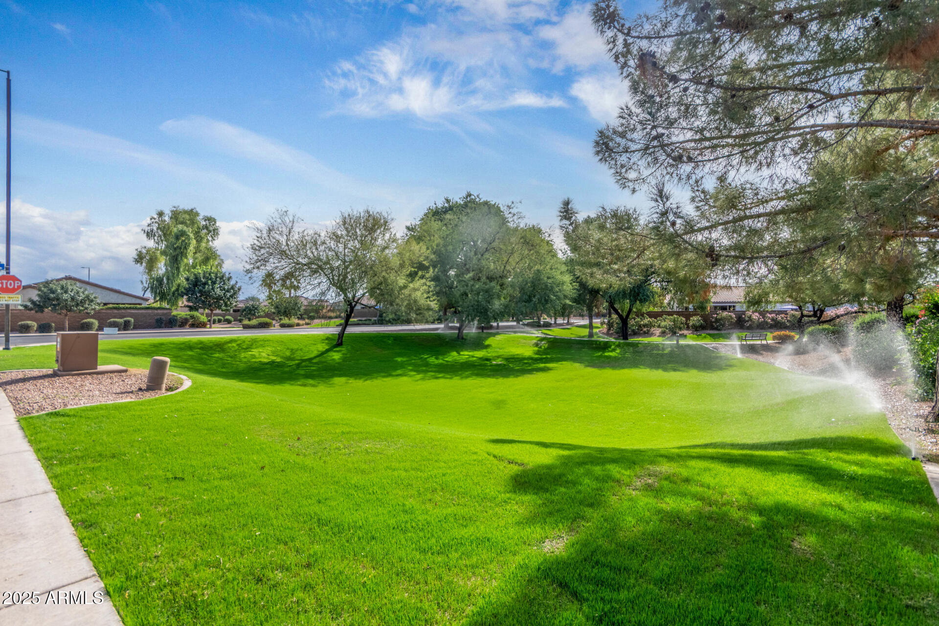 4553 East Narrowleaf Drive Gilbert, AZ 85298 - Photo 32 of 60 a view of a park with large trees