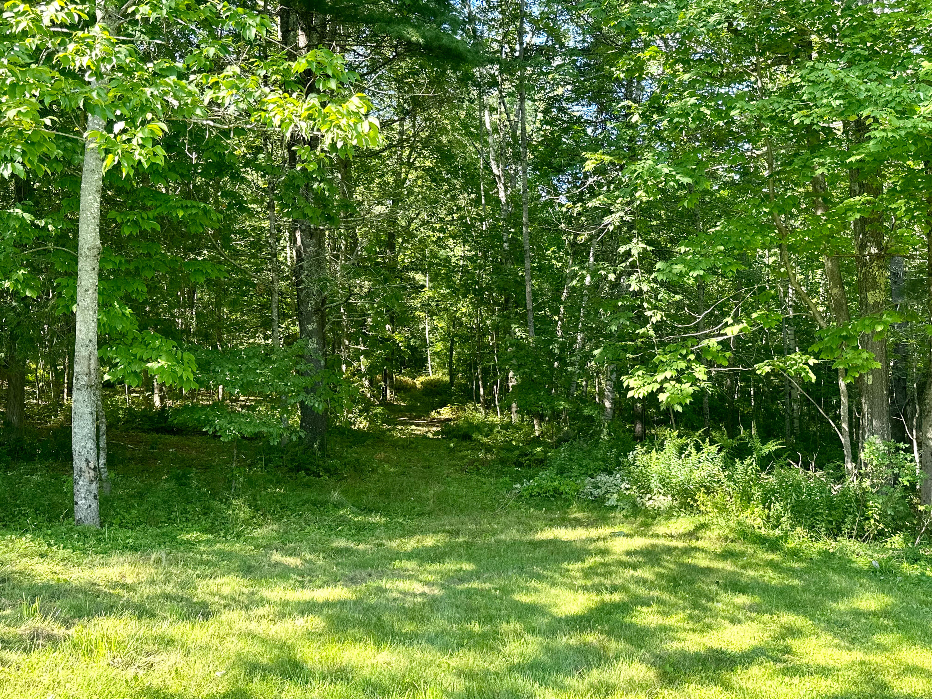 114 George Road Prospect, ME 04981 - Photo 28 of 46 Wood Trails