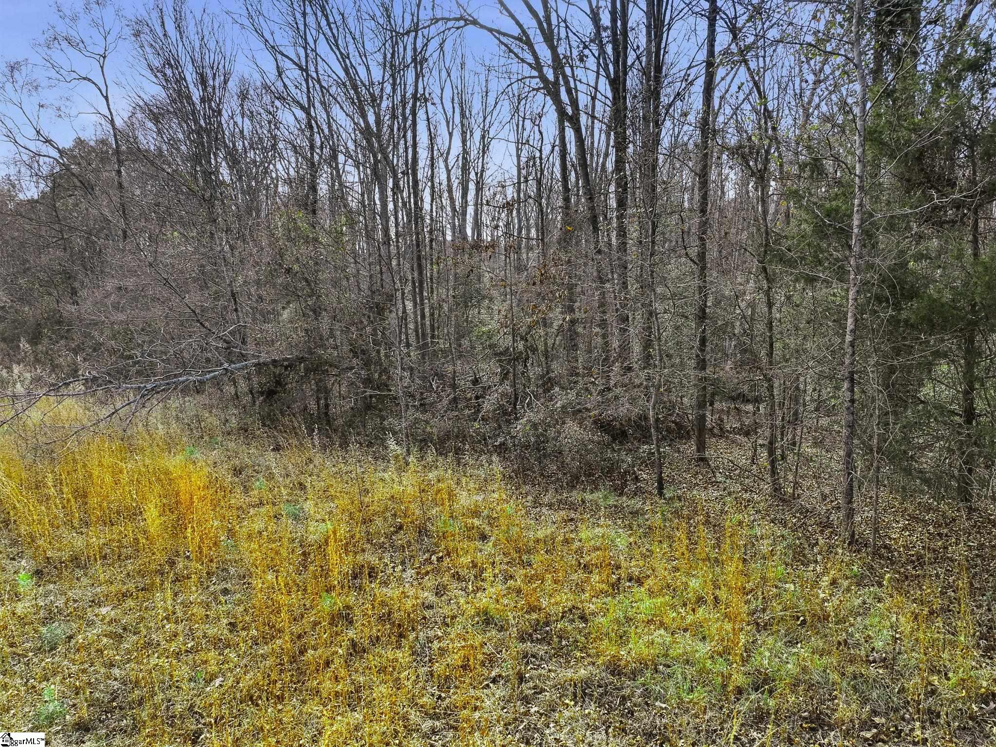 1111 Fork Shoals Road Greenville, SC 29605 - Photo 13 of 32