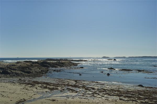 56 Galloupes Point Road Swampscott, MA 01907 - Photo 2 of 24 Gallery Image 2