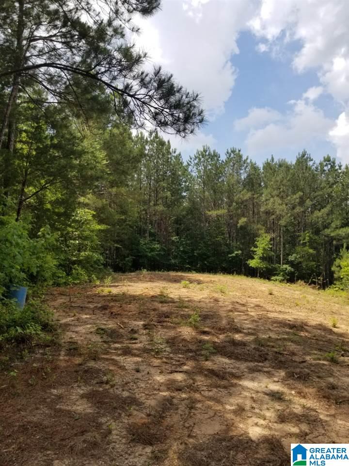 5 Charles Taylor Road, Unit 5 Vance, AL 35490 - Photo 1 of 7