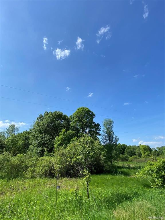 0 Kaiser Road Gregory, MI 48137 - Photo 17 of 29