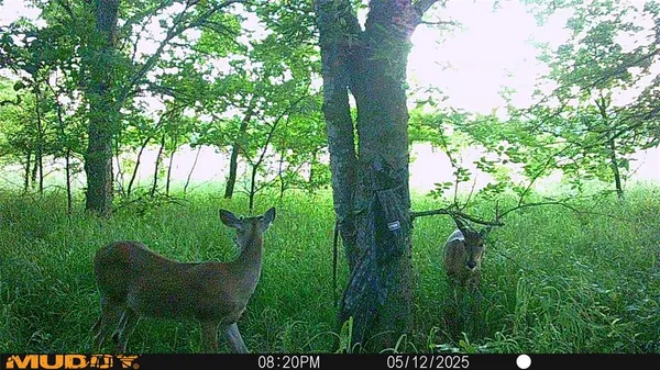 $479,000 | 131 Dugan Chapel Road, Denison, TX 75021