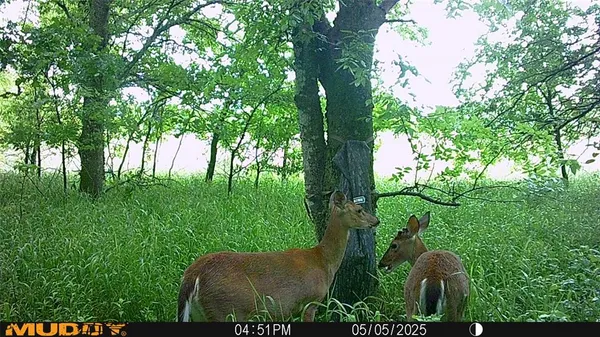 $479,000 | 131 Dugan Chapel Road, Denison, TX 75021