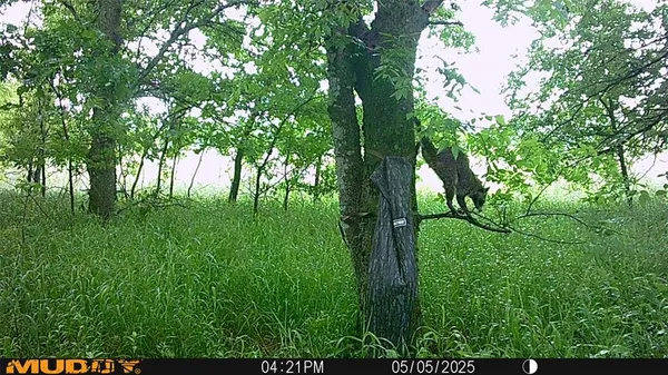 $479,000 | 131 Dugan Chapel Road, Denison, TX 75021