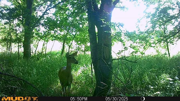 $479,000 | 131 Dugan Chapel Road, Denison, TX 75021