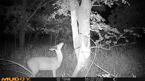 $479,000 | 131 Dugan Chapel Road, Denison, TX 75021