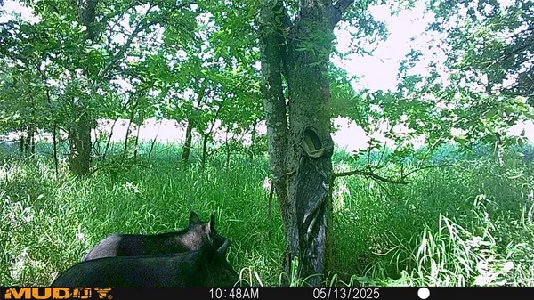 $479,000 | 131 Dugan Chapel Road, Denison, TX 75021