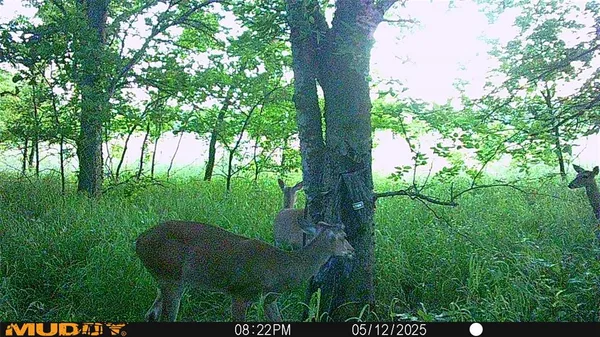 $479,000 | 131 Dugan Chapel Road, Denison, TX 75021