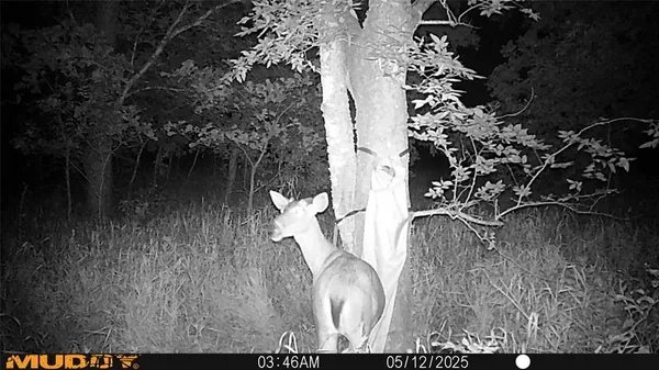 $479,000 | 131 Dugan Chapel Road, Denison, TX 75021