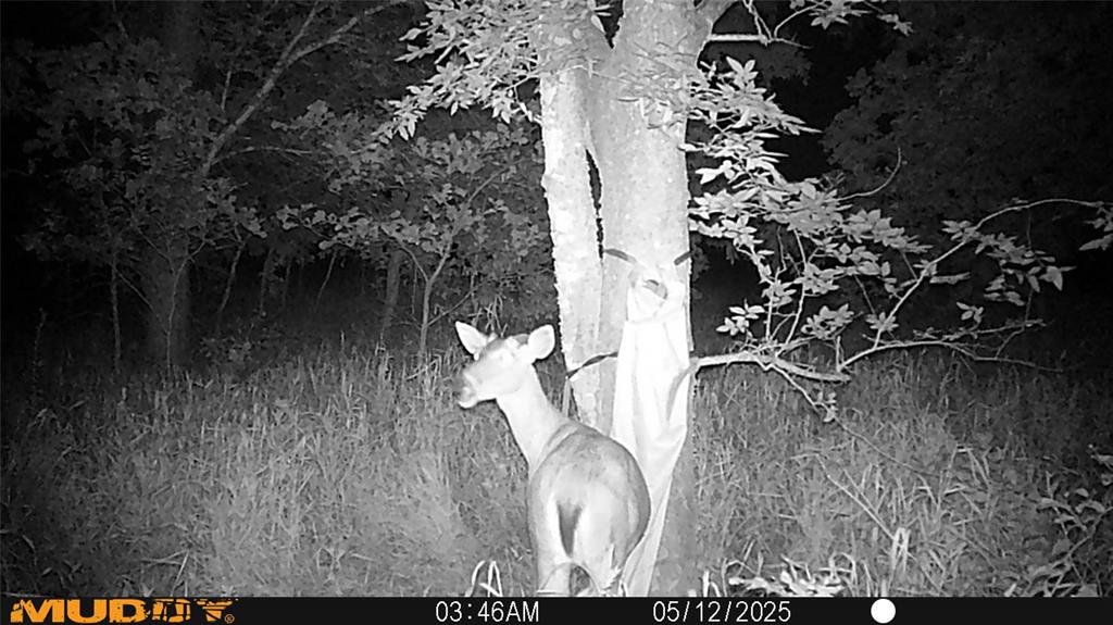 131 Dugan Chapel Road Denison, TX 75021 - Photo 8 of 20 View of surrounding community