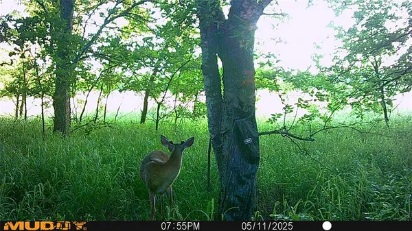 $479,000 | 131 Dugan Chapel Road, Denison, TX 75021