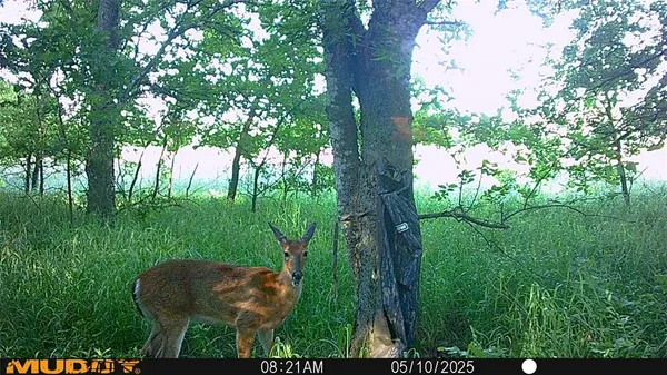 $479,000 | 131 Dugan Chapel Road, Denison, TX 75021