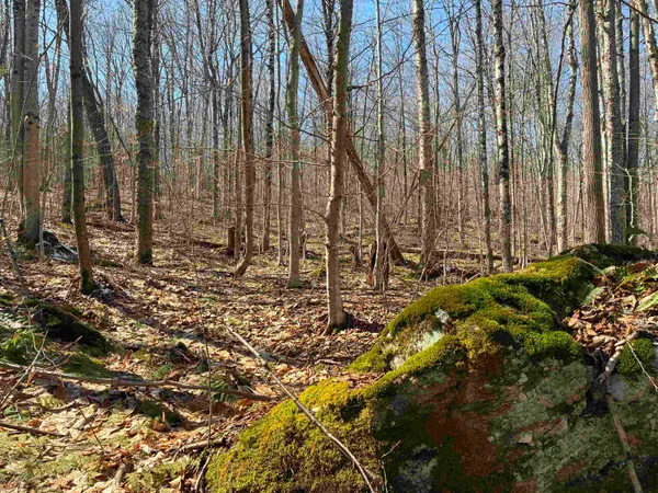 $145,000 | Lot 1 Marshall Road, Waterbury, VT 05676