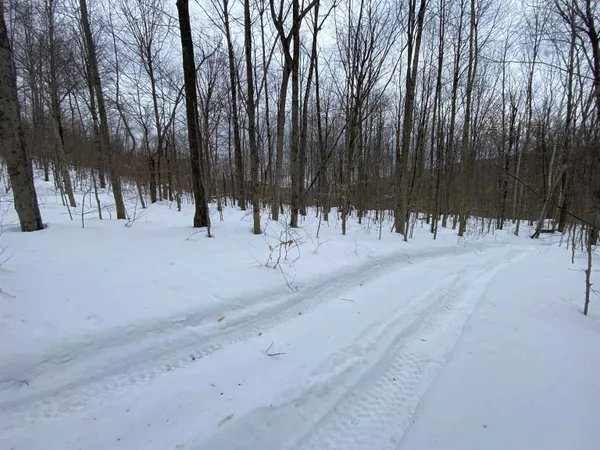 $145,000 | Lot 1 Marshall Road, Waterbury, VT 05676