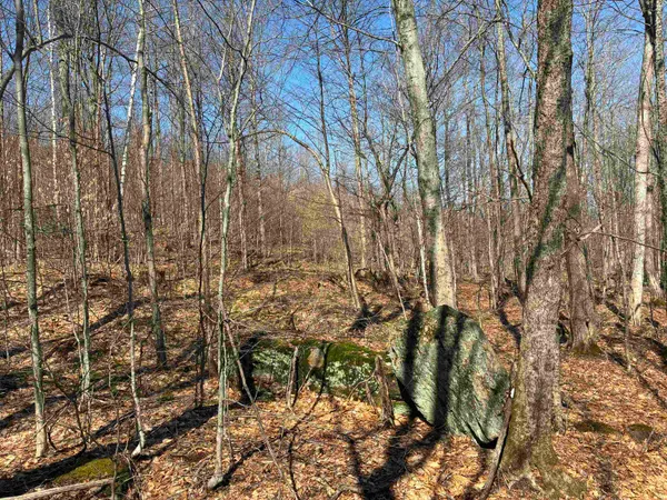 $145,000 | Lot 1 Marshall Road, Waterbury, VT 05676