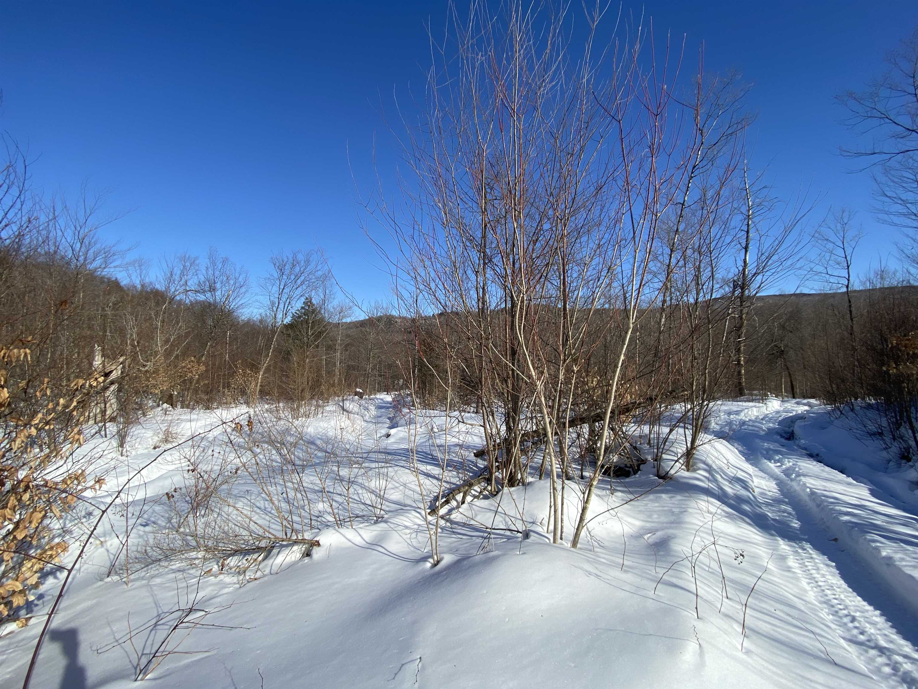 Lot 1 Marshall Road Waterbury, VT 05676 - Photo 19 of 30