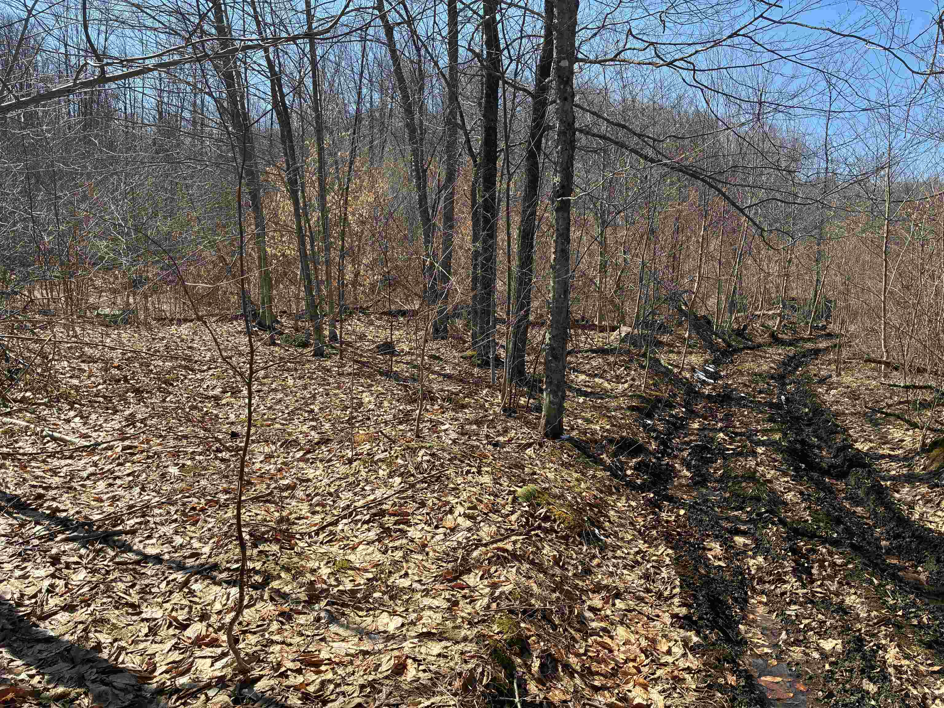 Lot 1 Marshall Road Waterbury, VT 05676 - Photo 20 of 30