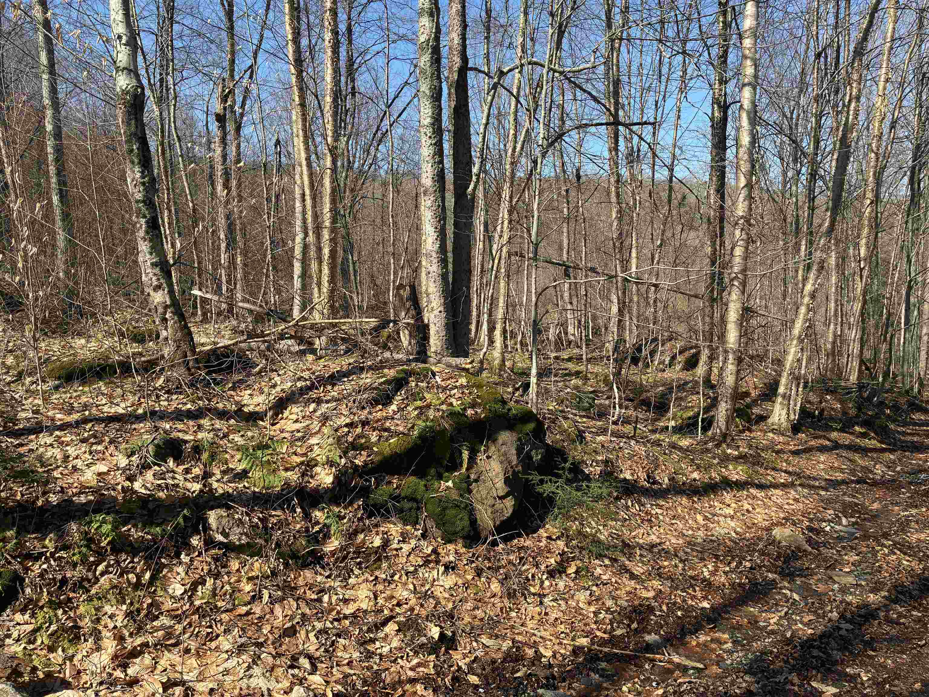 Lot 1 Marshall Road Waterbury, VT 05676 - Photo 22 of 30