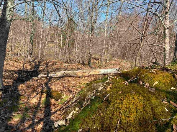 $145,000 | Lot 1 Marshall Road, Waterbury, VT 05676