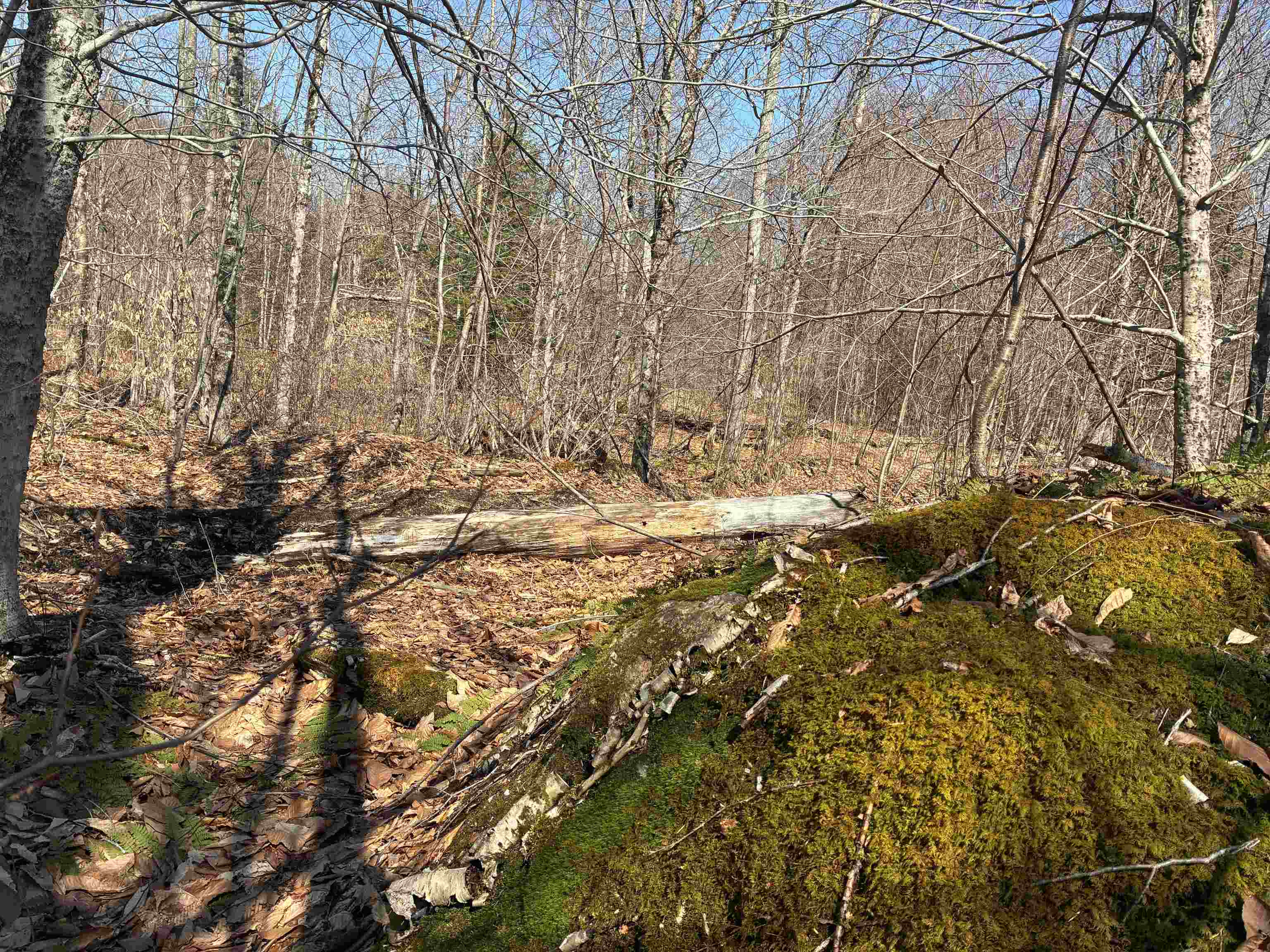 Lot 1 Marshall Road Waterbury, VT 05676 - Photo 24 of 30