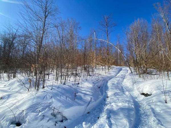 $145,000 | Lot 1 Marshall Road, Waterbury, VT 05676