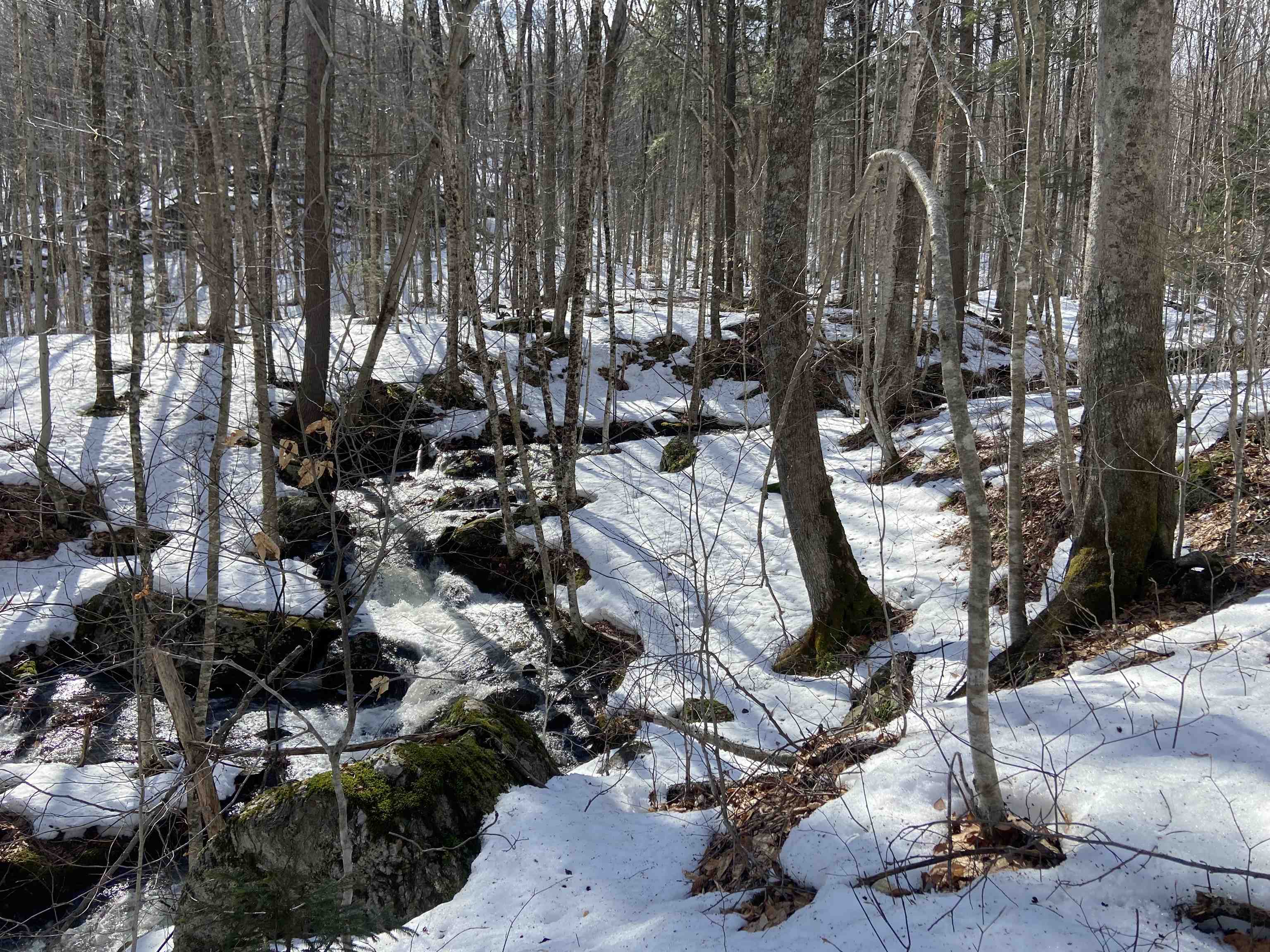 Lot 1 Marshall Road Waterbury, VT 05676 - Photo 28 of 30