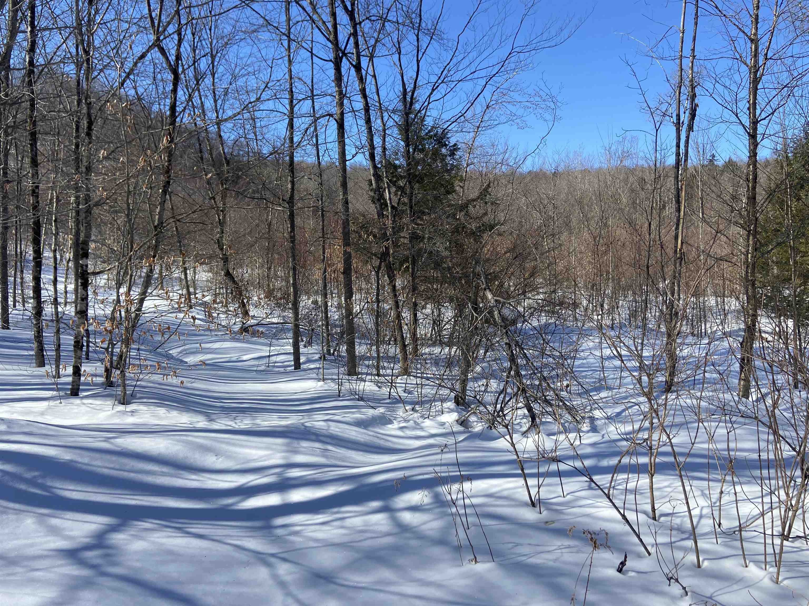 Lot 1 Marshall Road Waterbury, VT 05676 - Photo 3 of 30