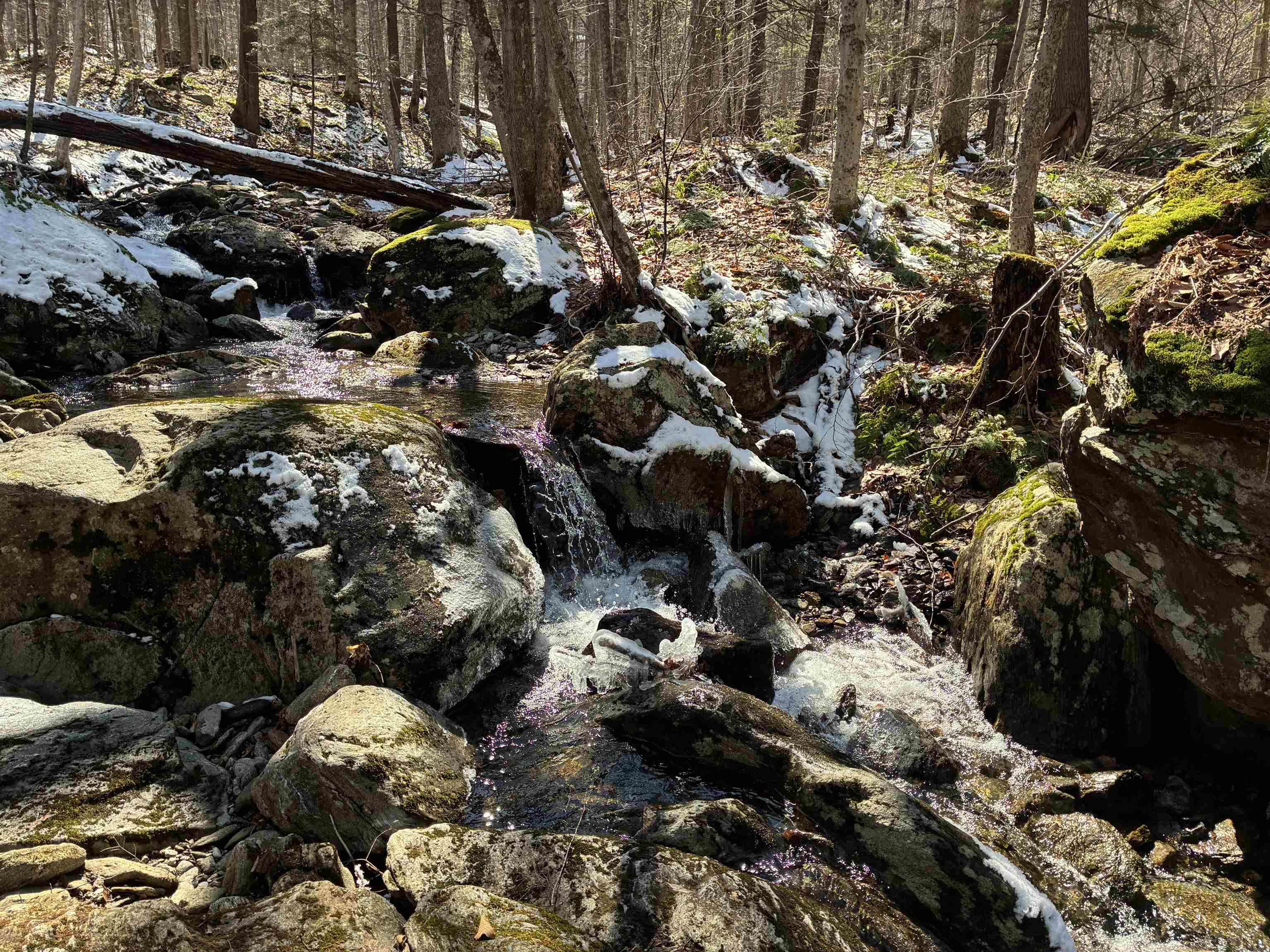 Lot 1 Marshall Road Waterbury, VT 05676 - Photo 4 of 30