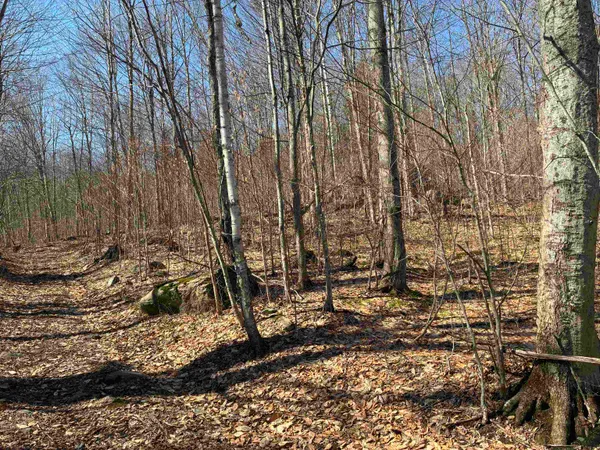 $145,000 | Lot 1 Marshall Road, Waterbury, VT 05676