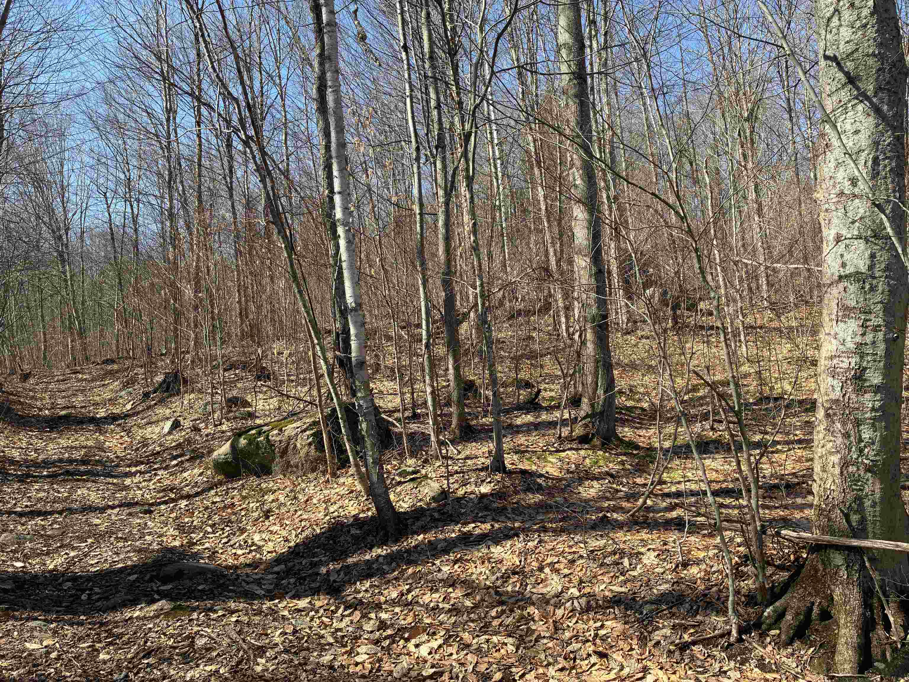 Lot 1 Marshall Road Waterbury, VT 05676 - Photo 6 of 30