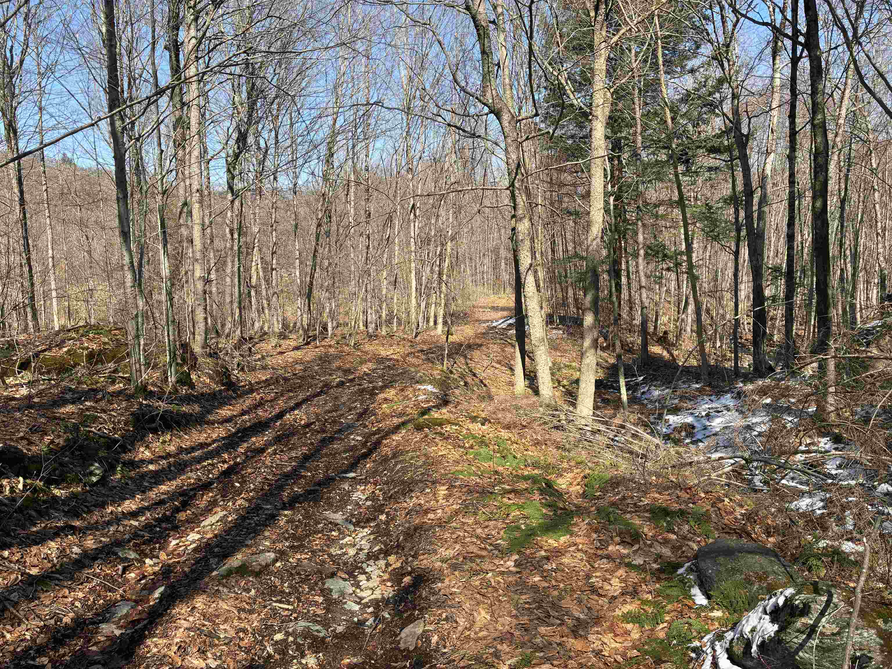 Lot 1 Marshall Road Waterbury, VT 05676 - Photo 8 of 30